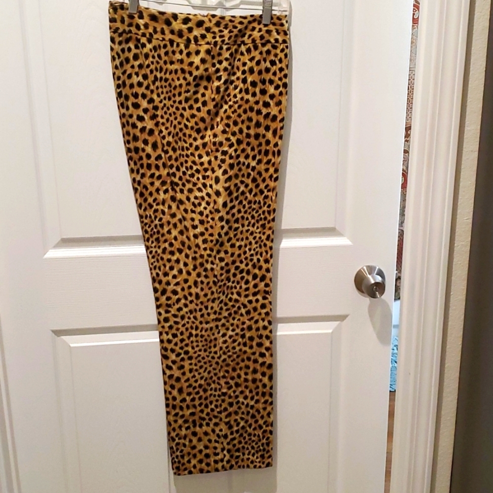 Judith Hart Collection